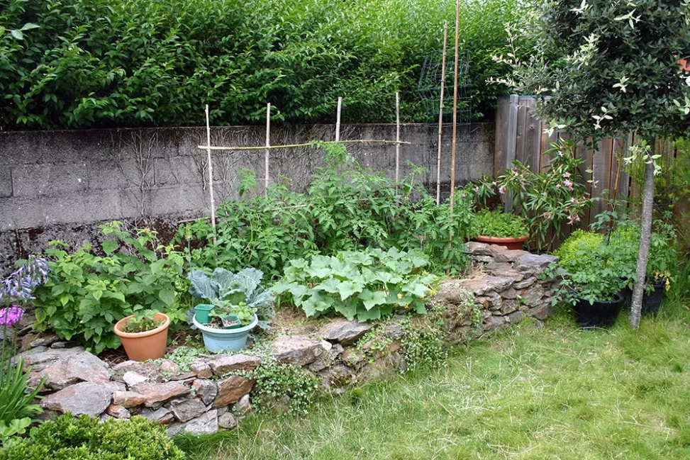 Le potager en pierres sèches