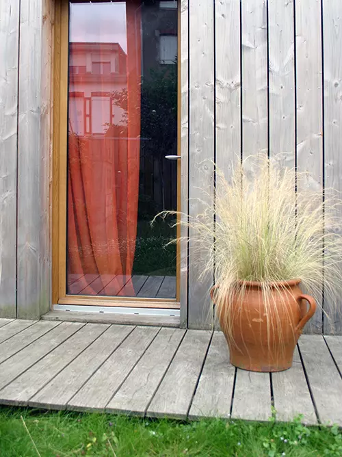 Le stipa, c'est sympa